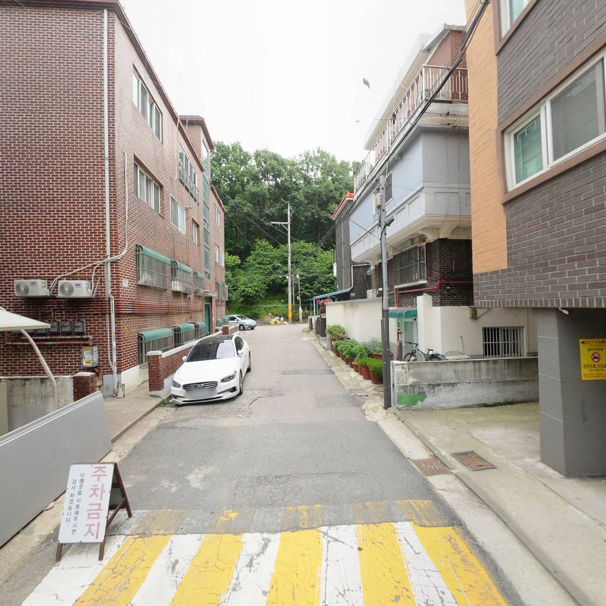 로스터리월_2
