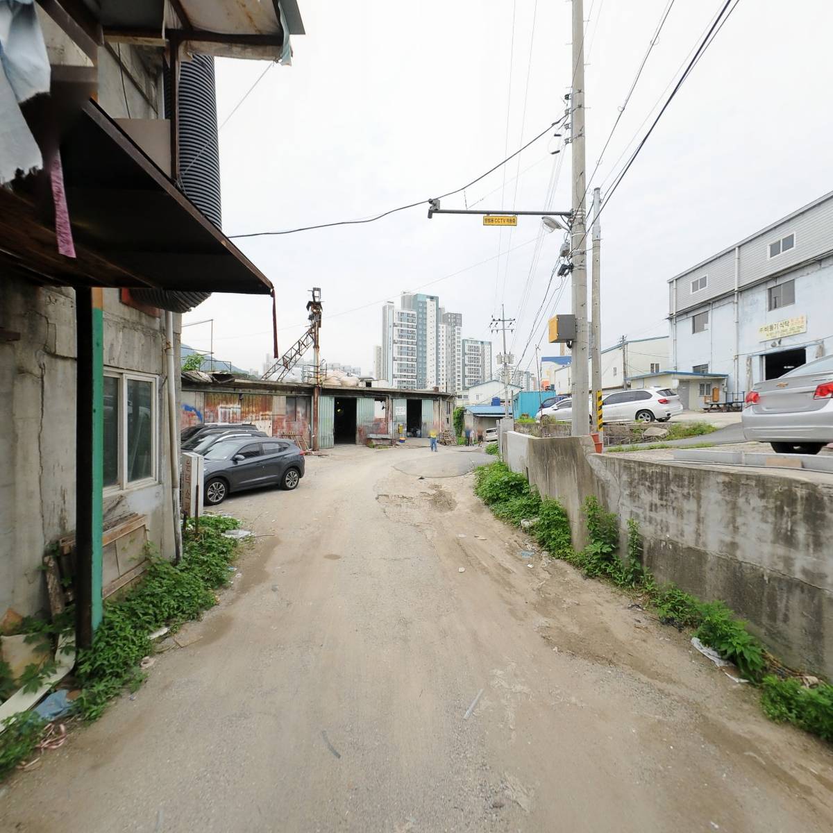 주식회사 비둘기_2