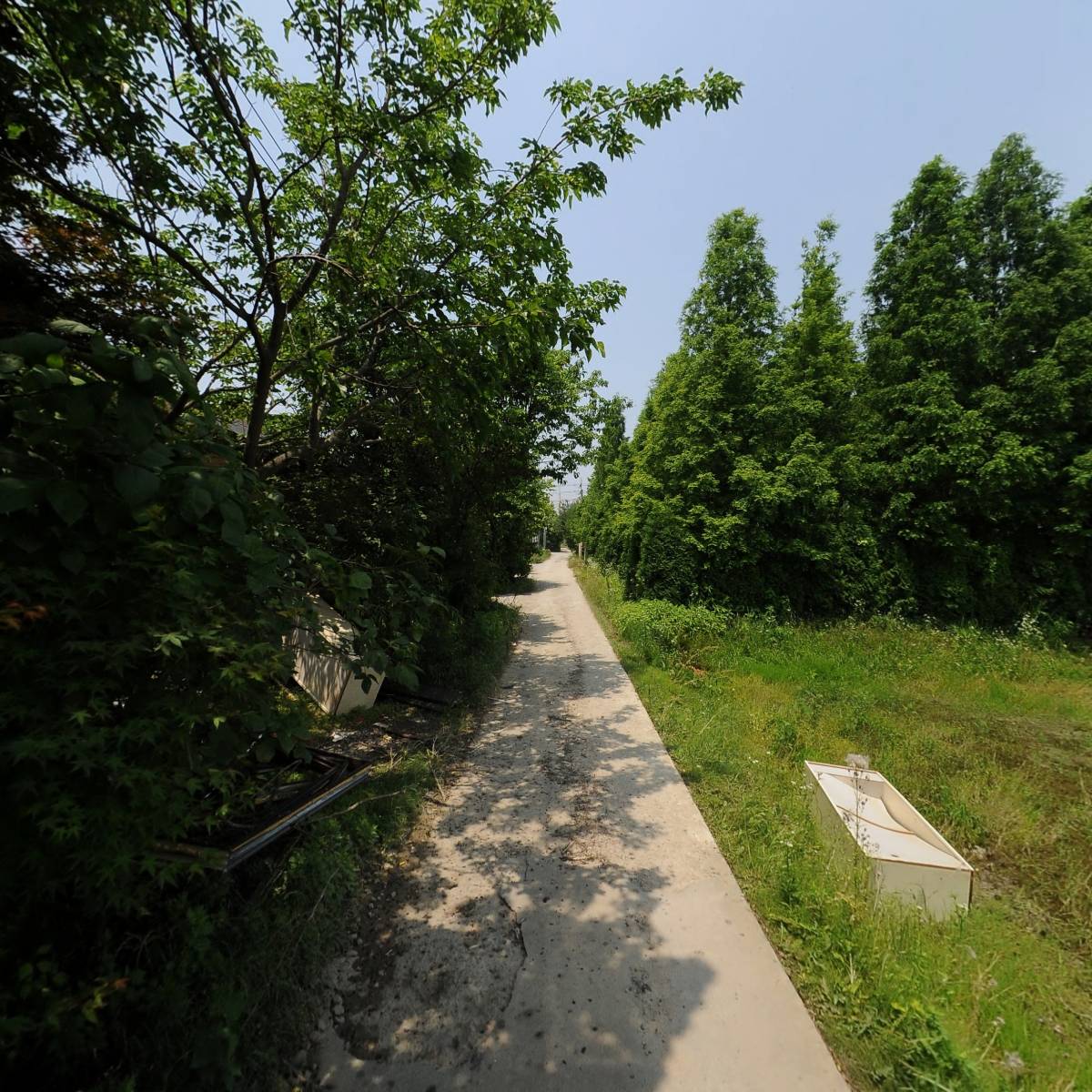 하늘담은버섯뜰_2