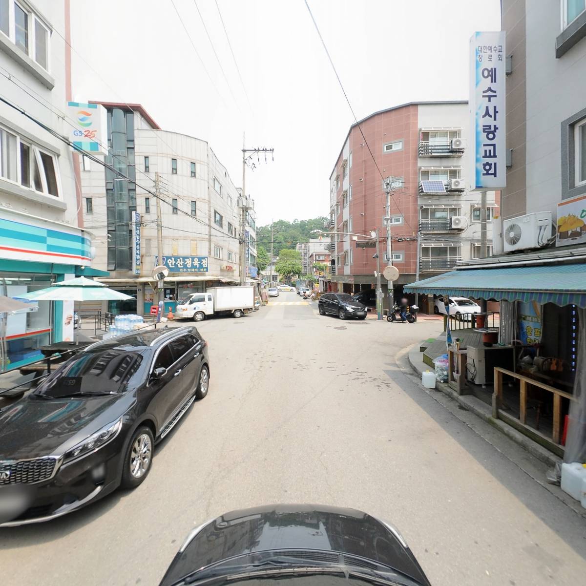 죠르느시코_4