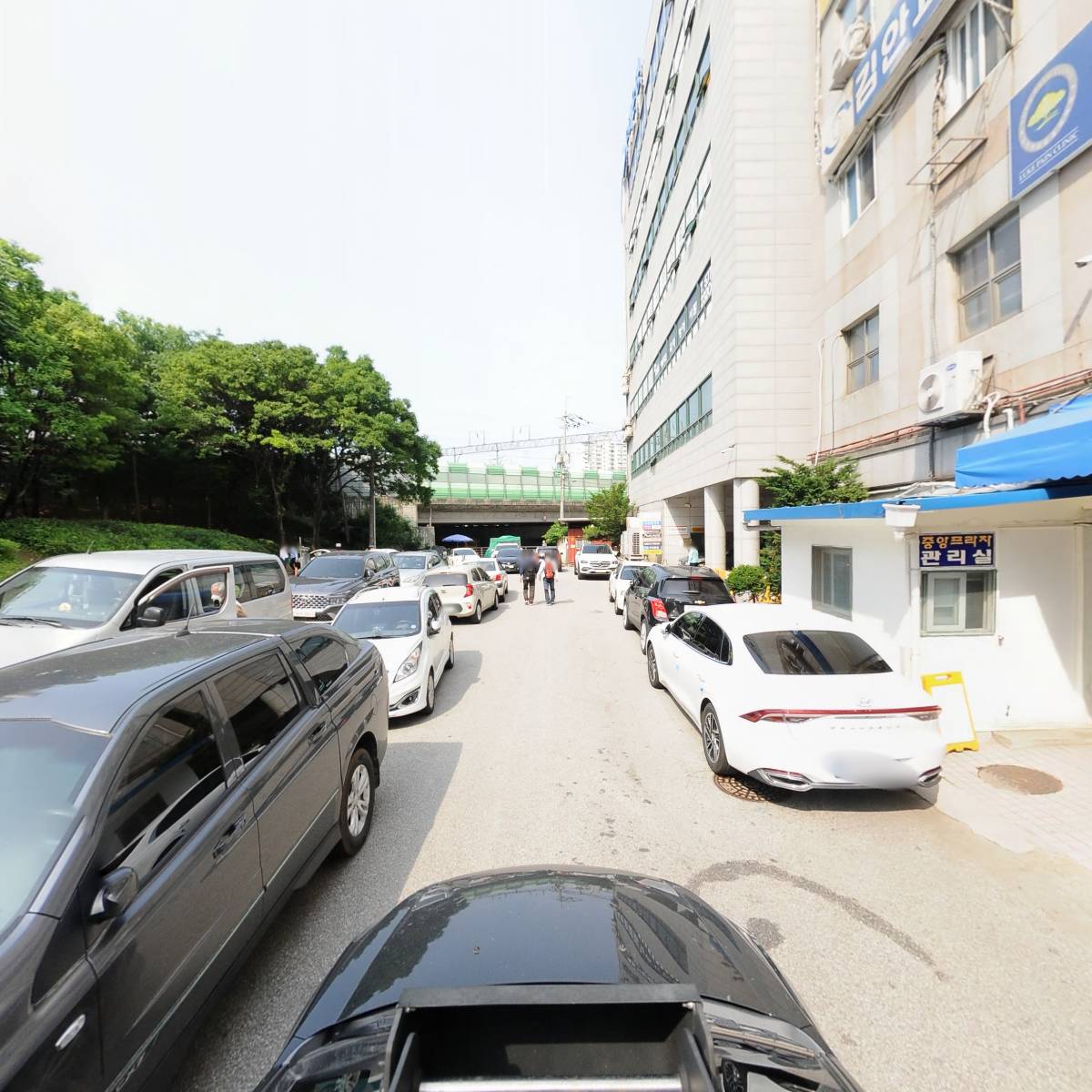 누가마취통증의학과_4
