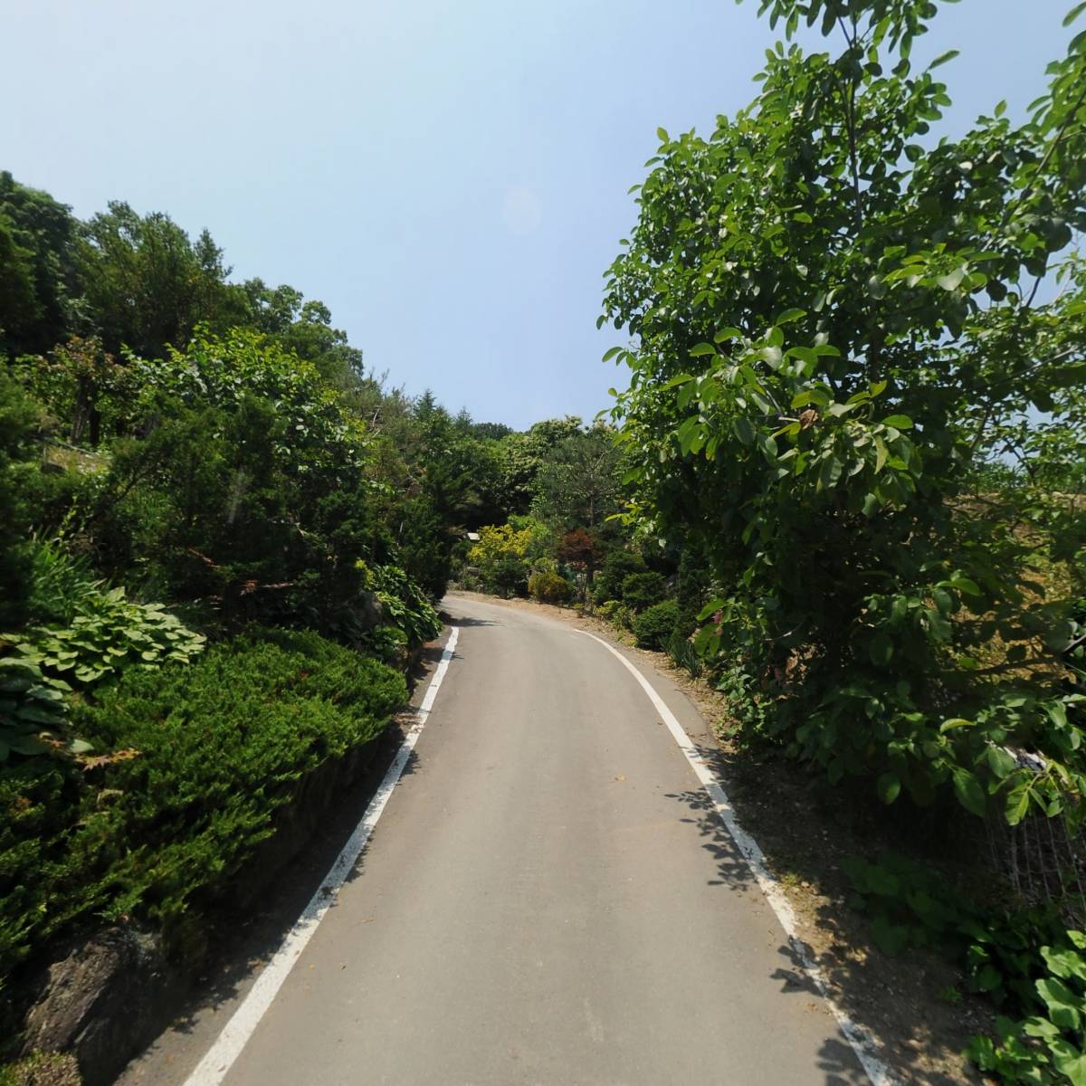 화진중기_2