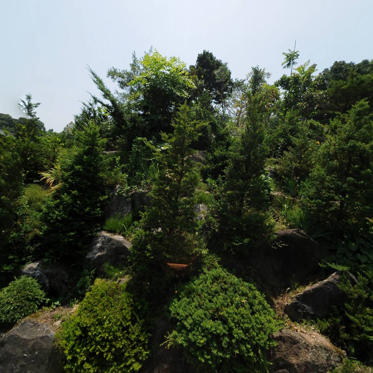 화진중기