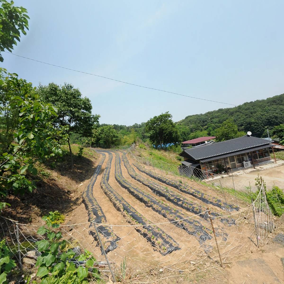 화진중기_3