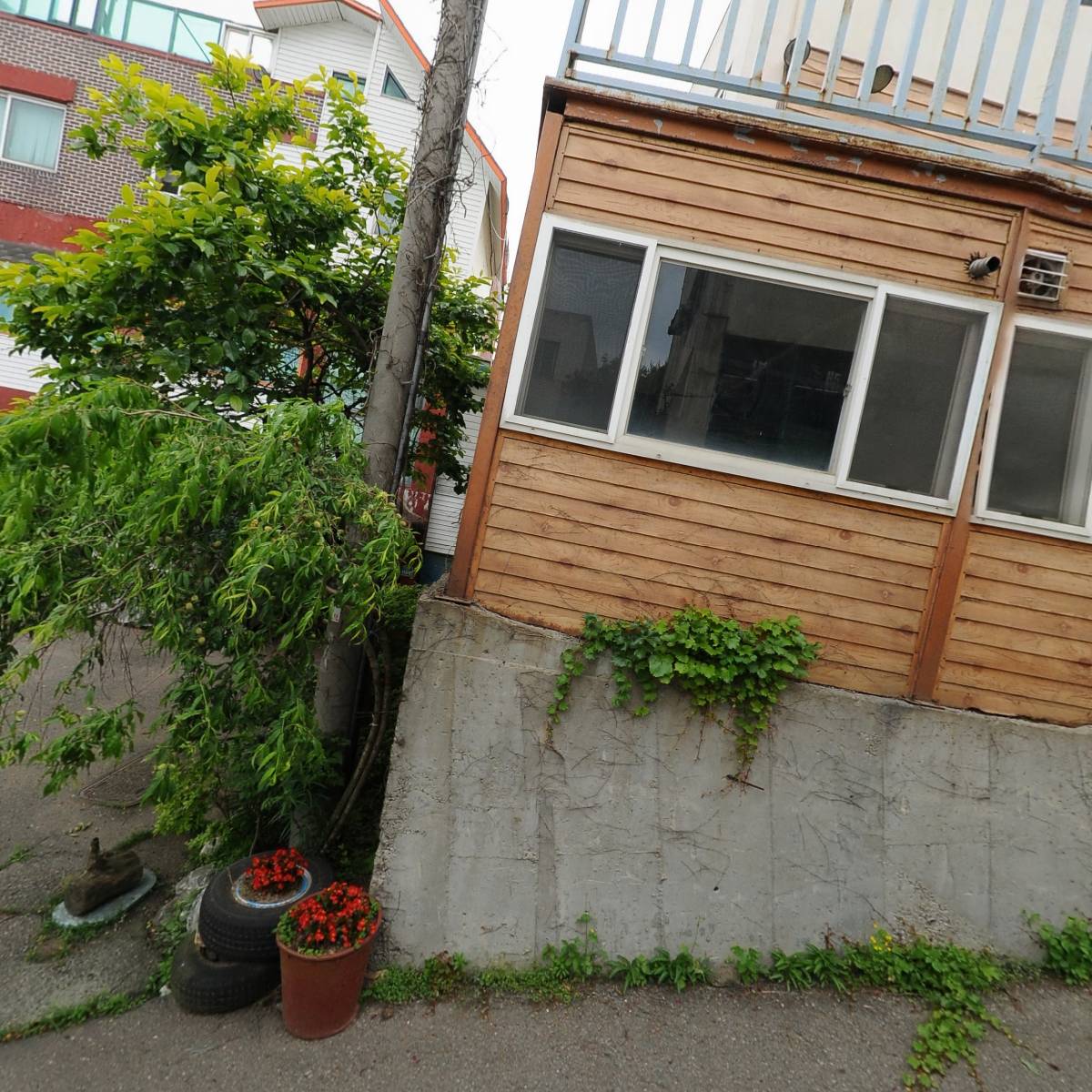 대부낙조