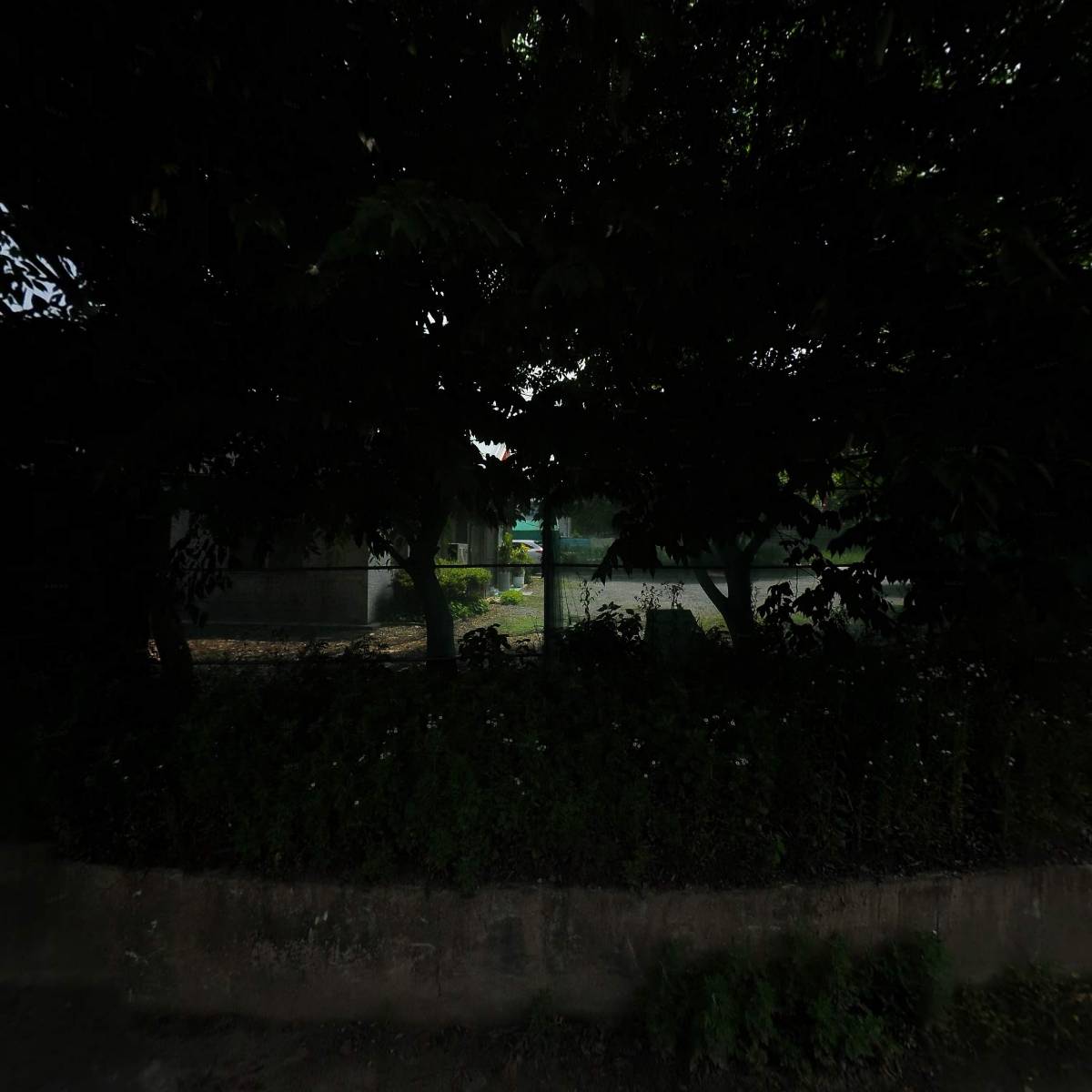 대신택배청주효촌_3