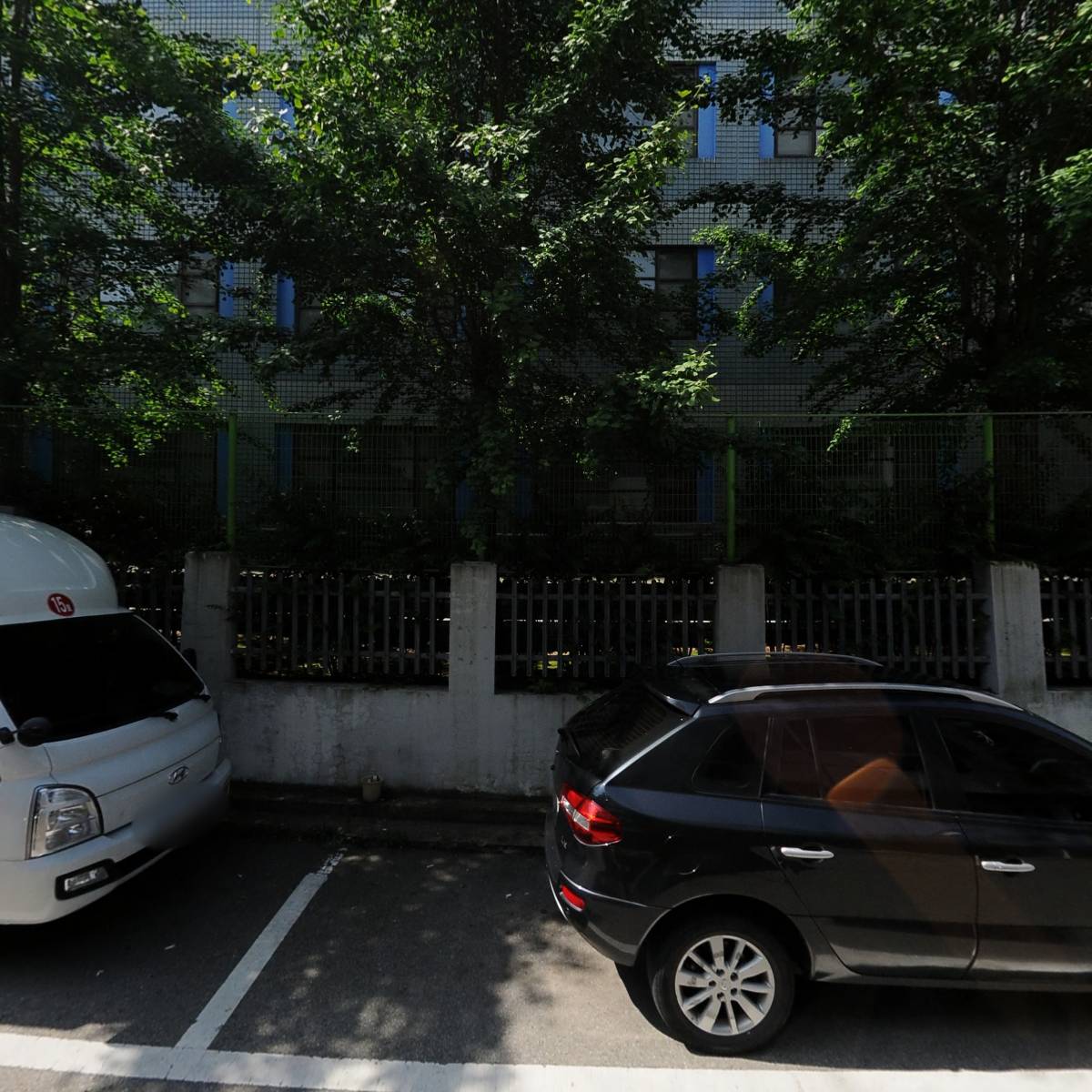 행두shin펫시터