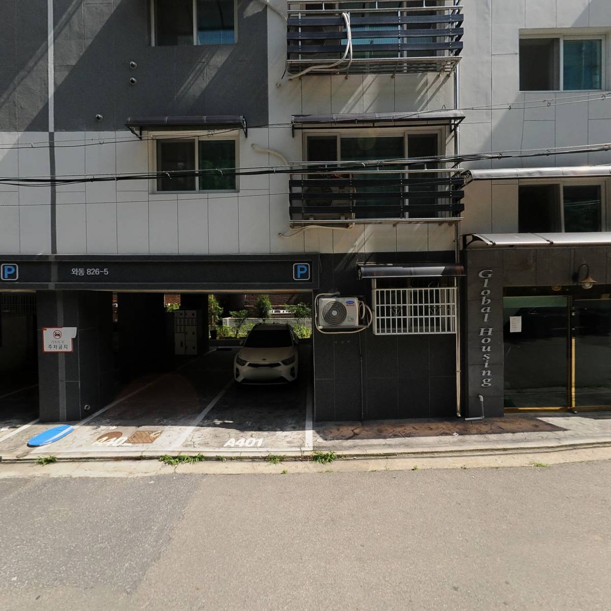 행두shin펫시터_3