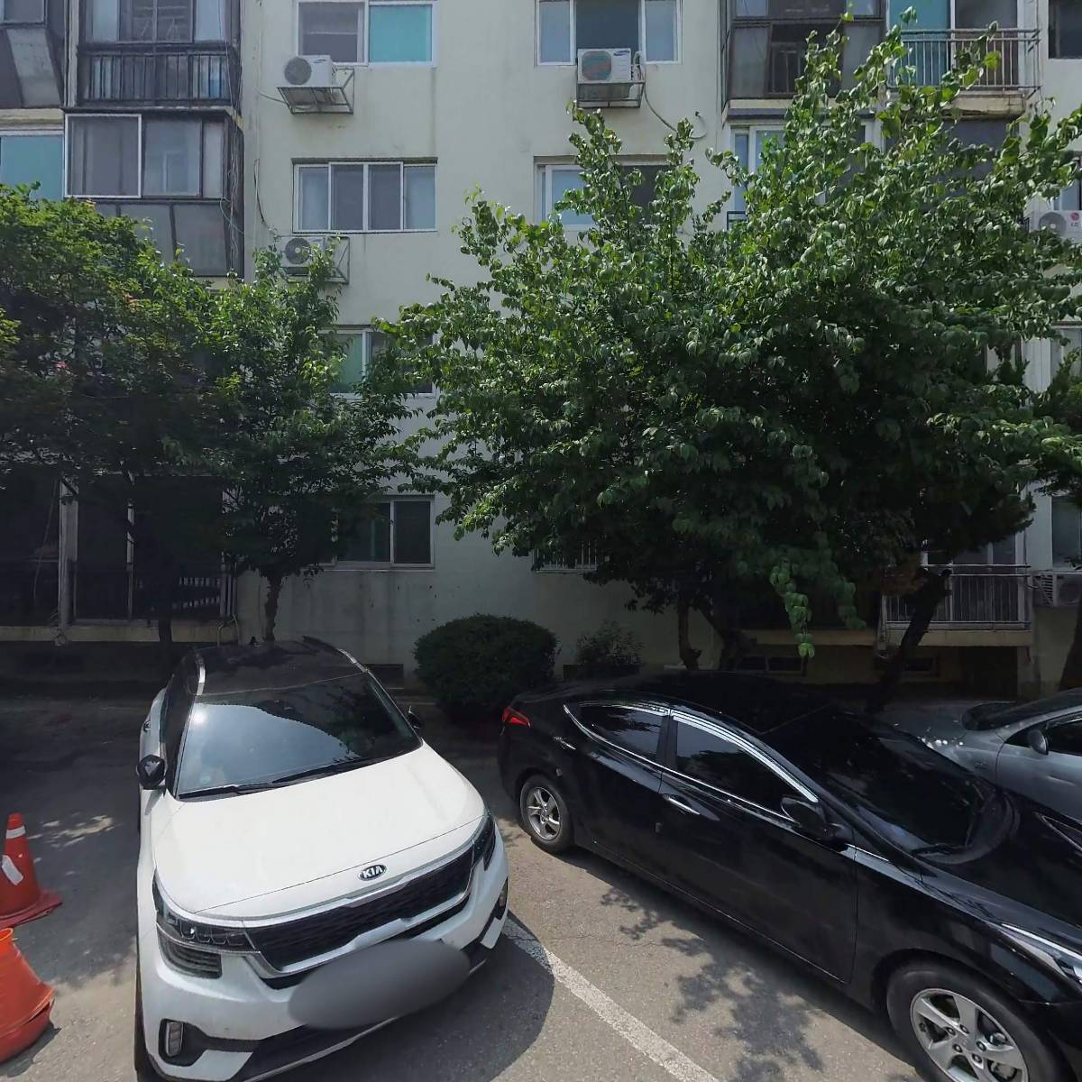 명품기획
