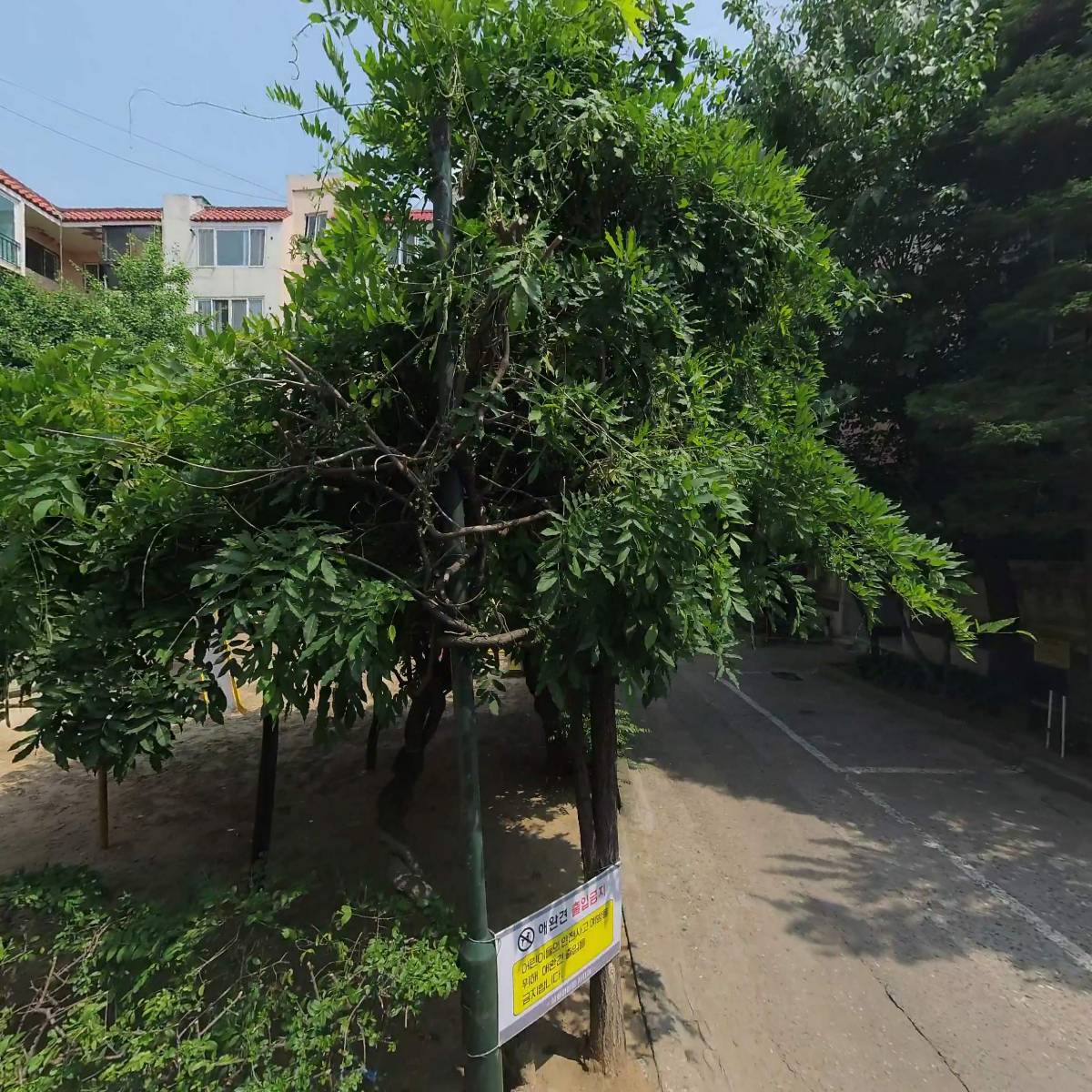 명품기획_3