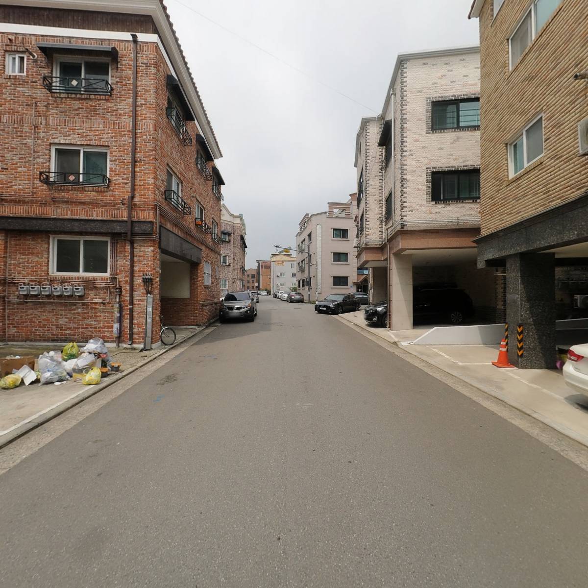 감나무주식회사_2