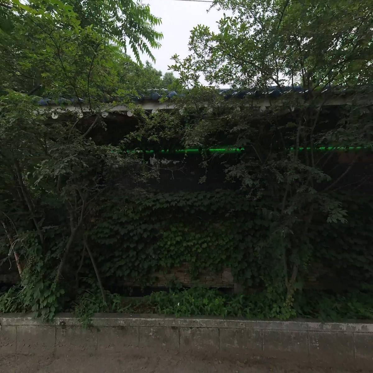 디오름 R_3