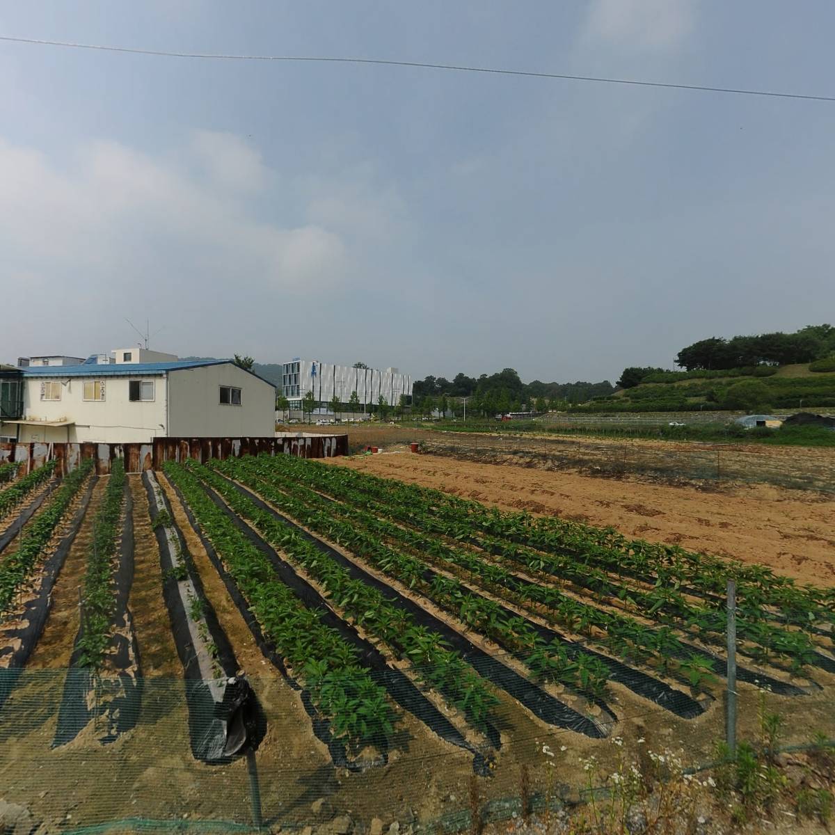 베이커리카페밀리미터_3