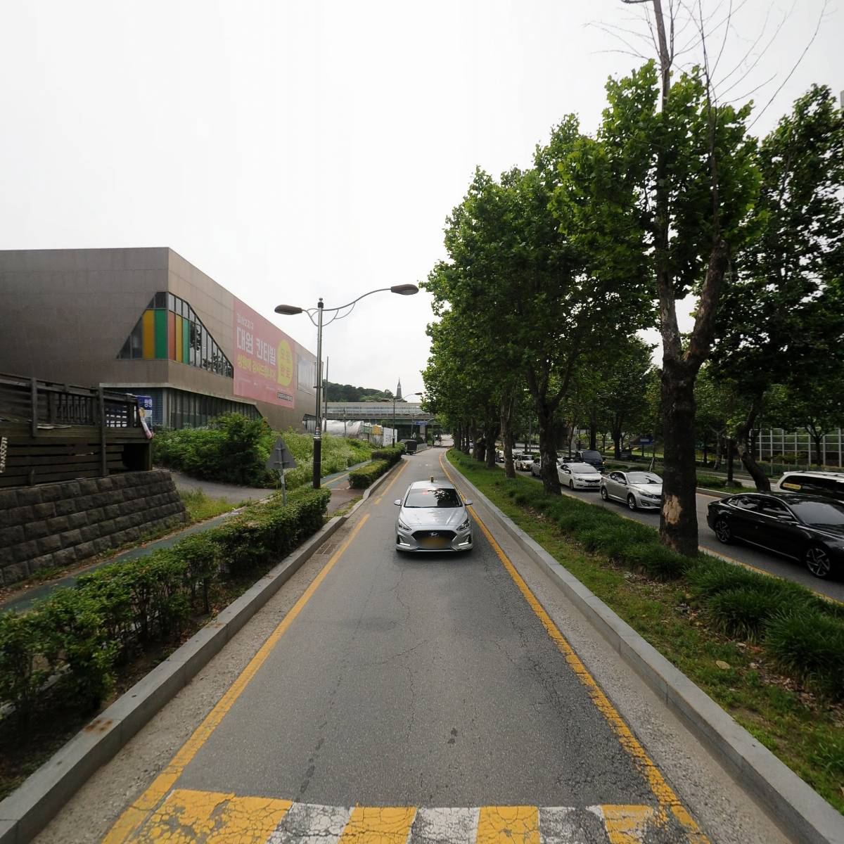 콩사랑_2