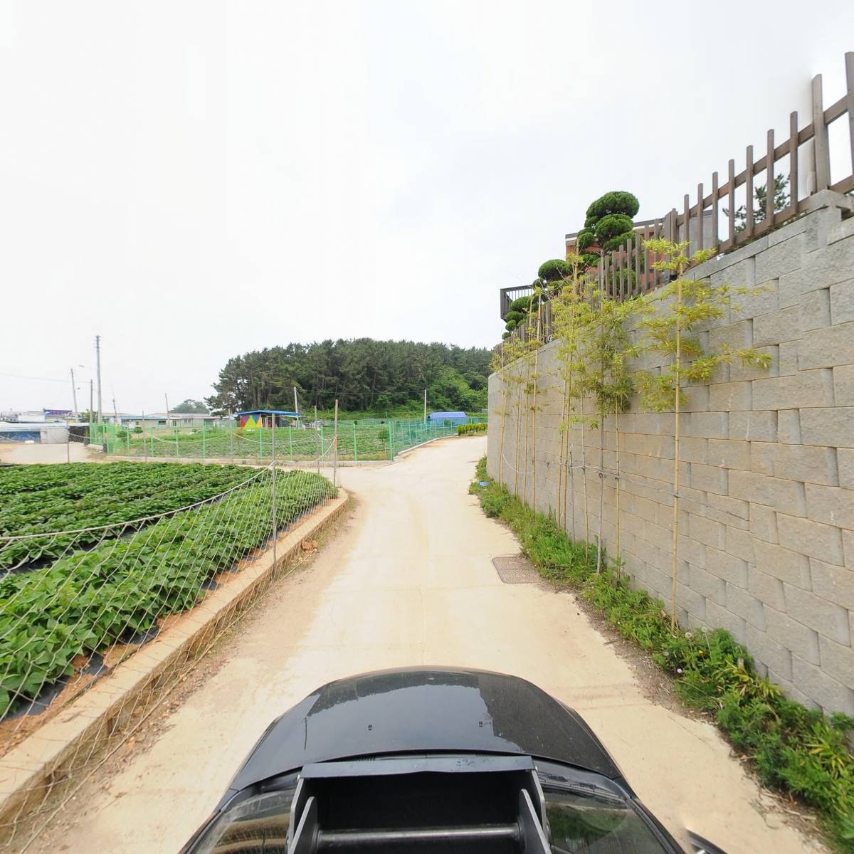 전망이 좋은 펜션_4