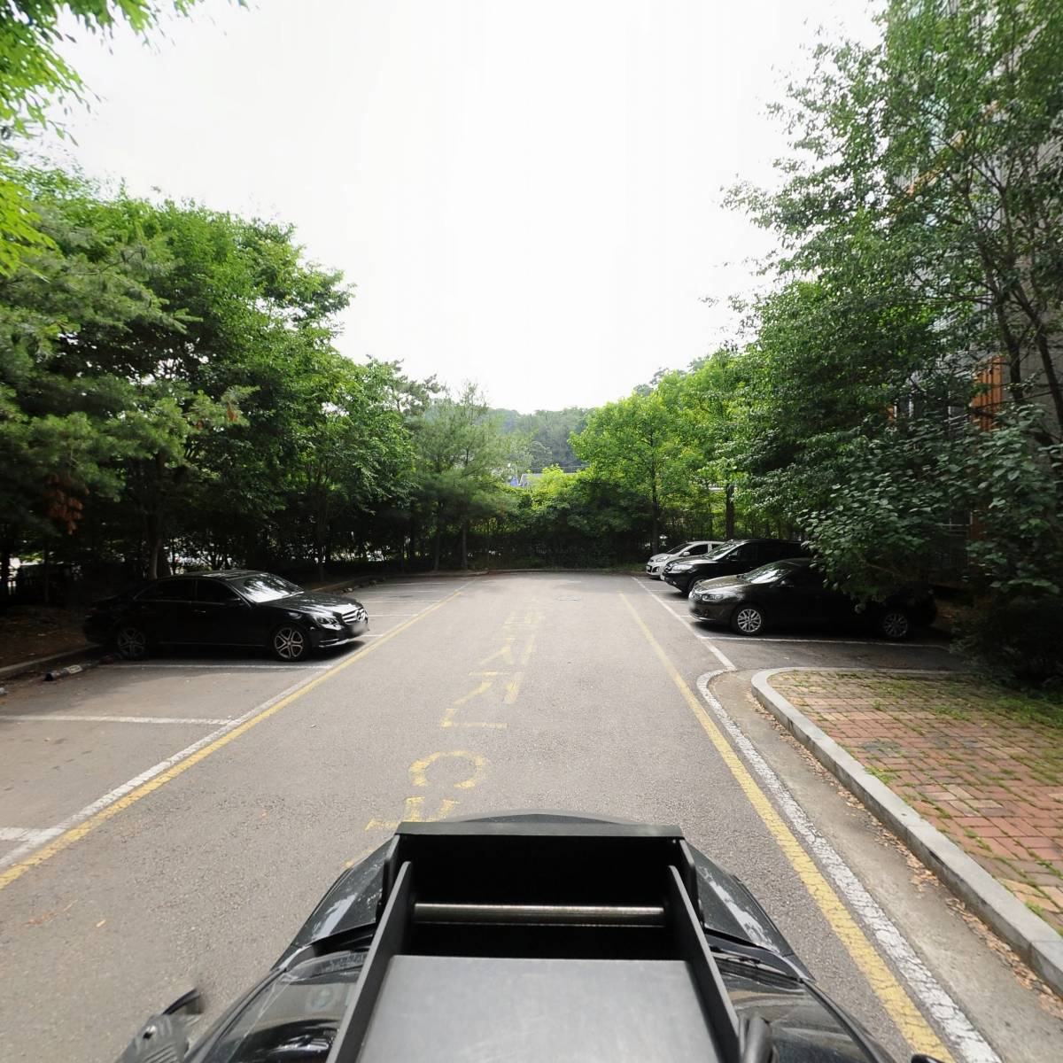 개풍군 중면민회_4