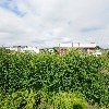 (주)청와푸드_3
