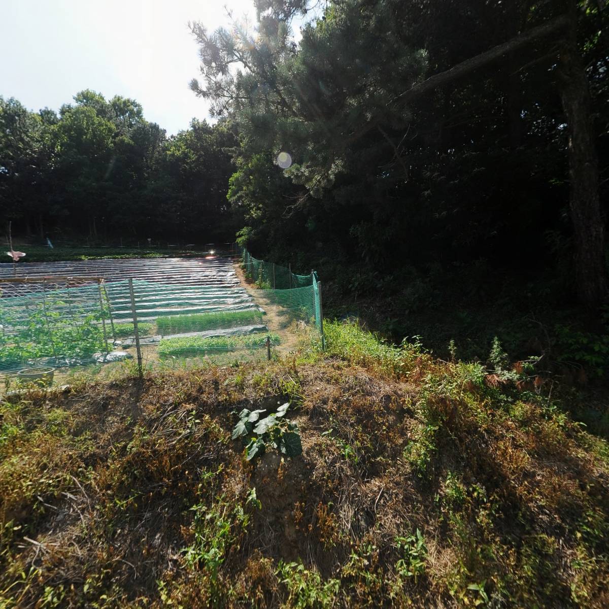 밥캣 충북지점