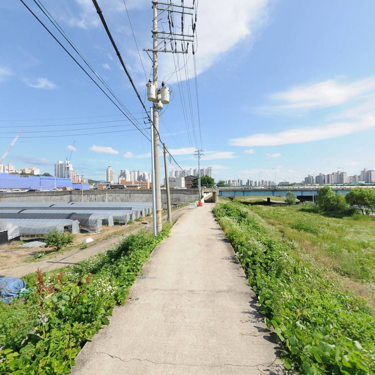 제때(이상준)_2