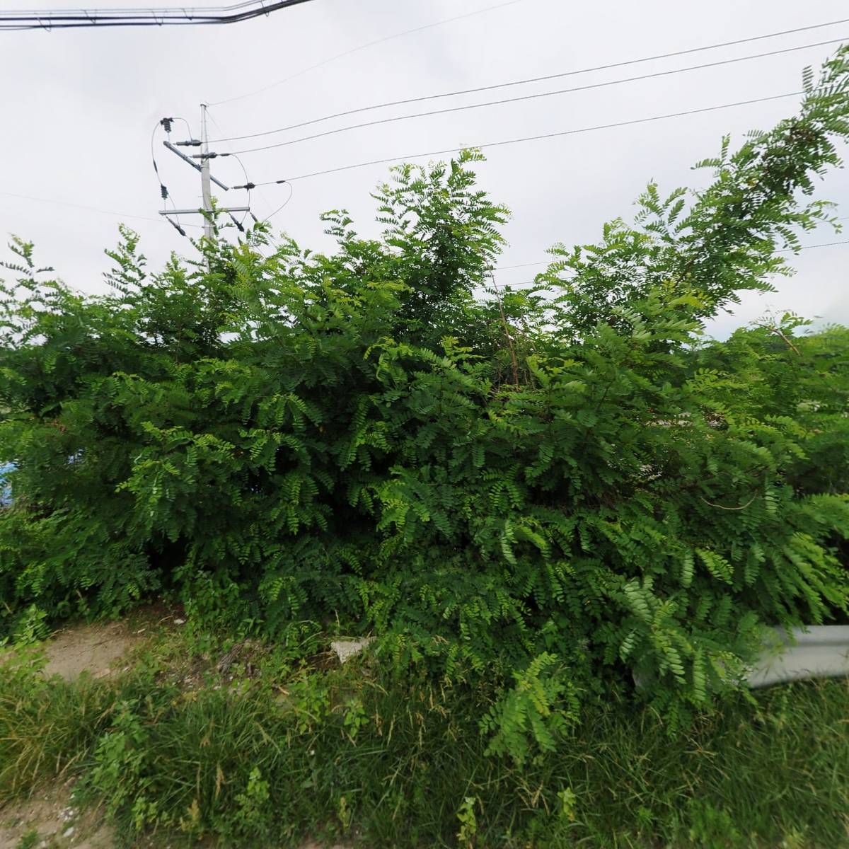 그린패널(주)
