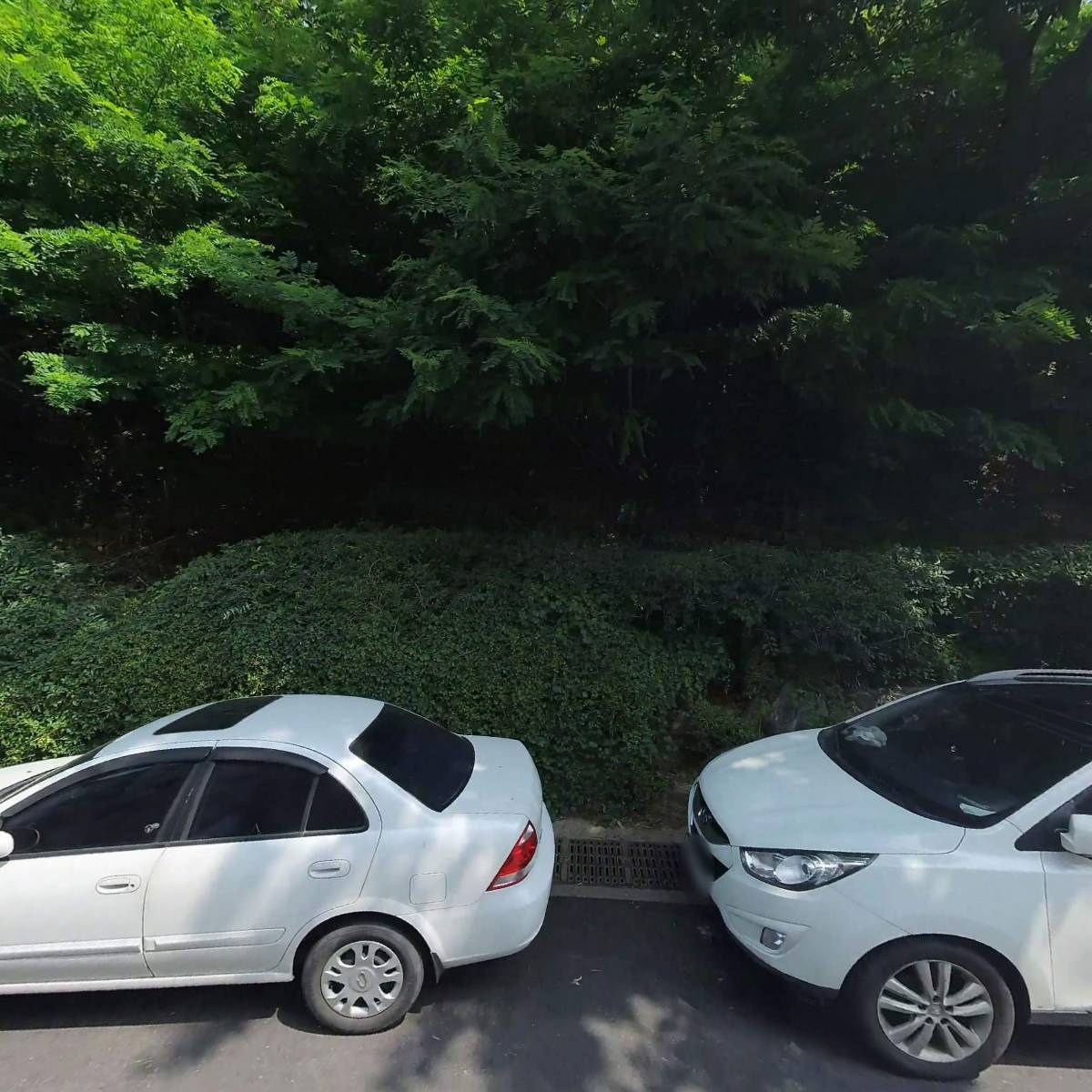 소피킴마켓_3