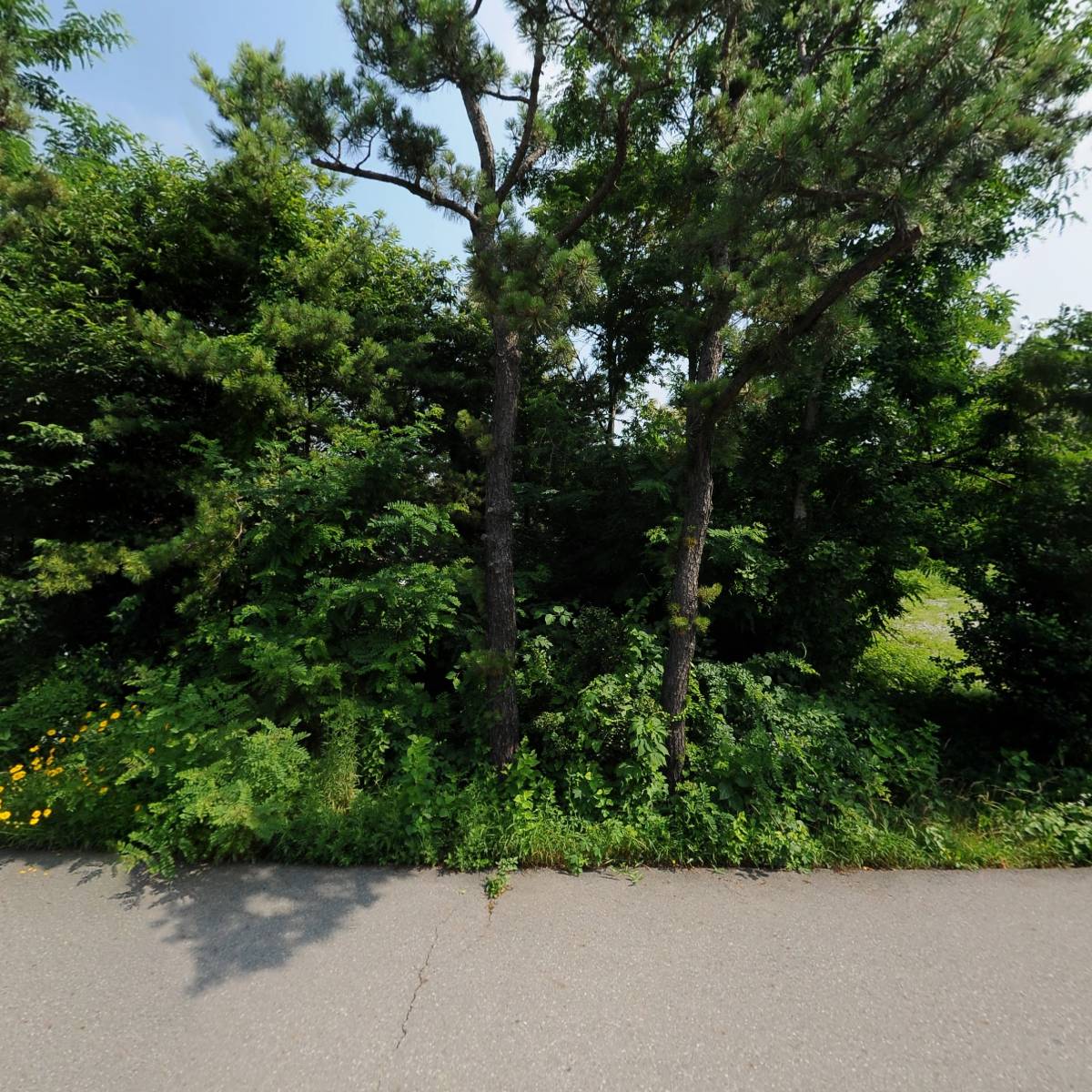 신우제관공업(주)_3