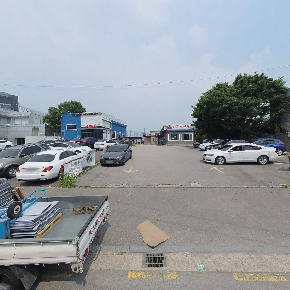 네오젠시스