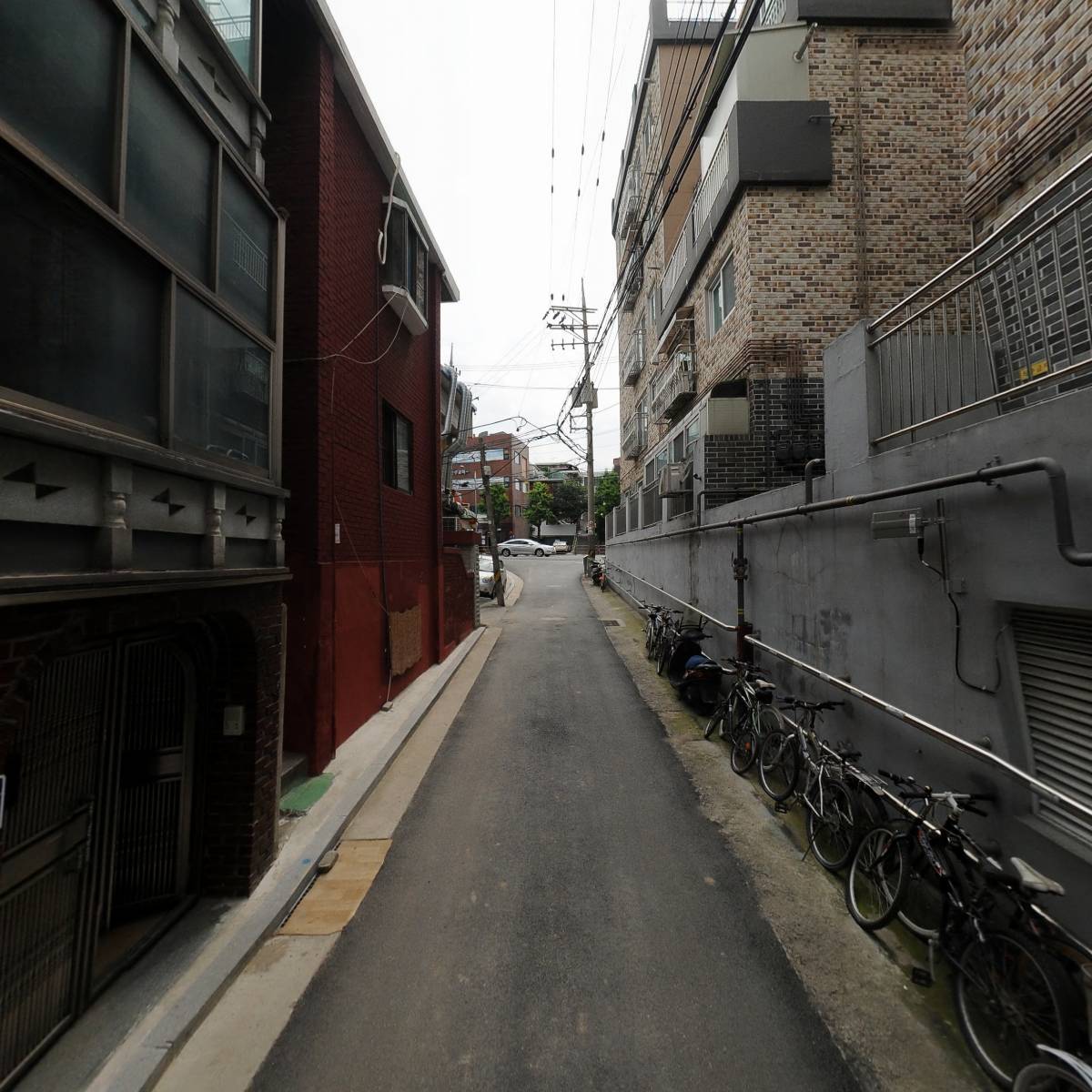 그린코끼리_2