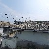 국제화구_3