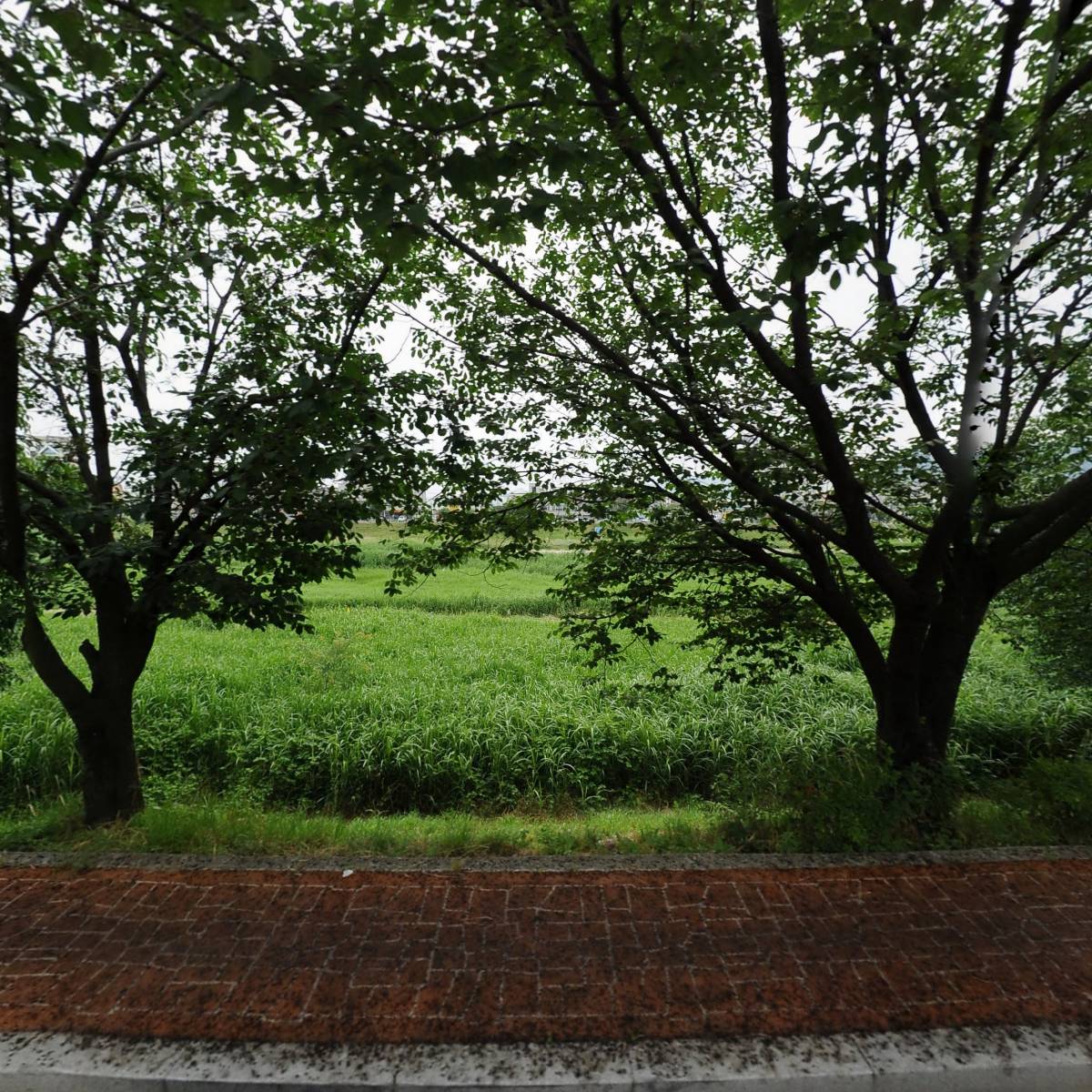 충청북도개인용달화물자동차운송사업협회