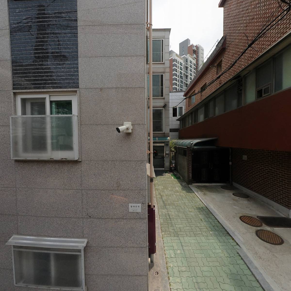 라이크제인