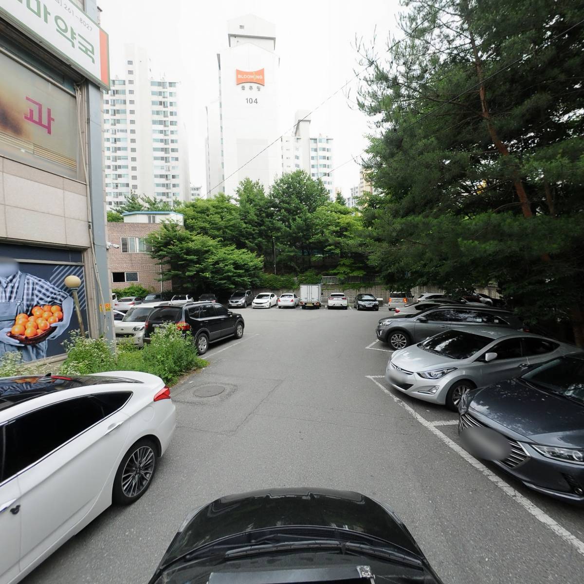 세종옵티마약국_4