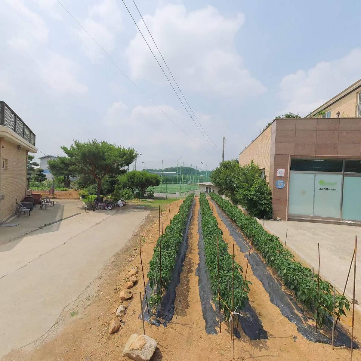 제일화학