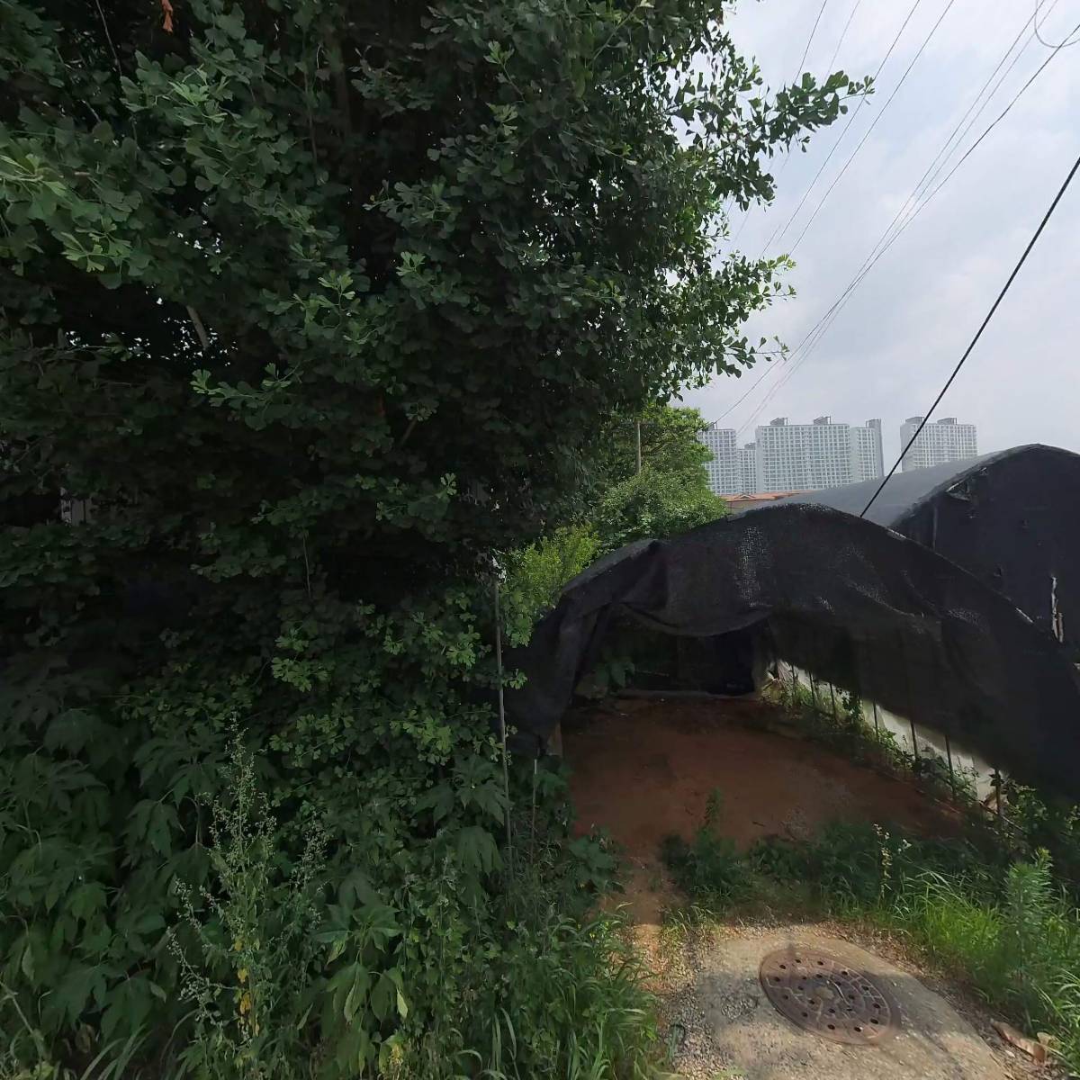 제일화학_3