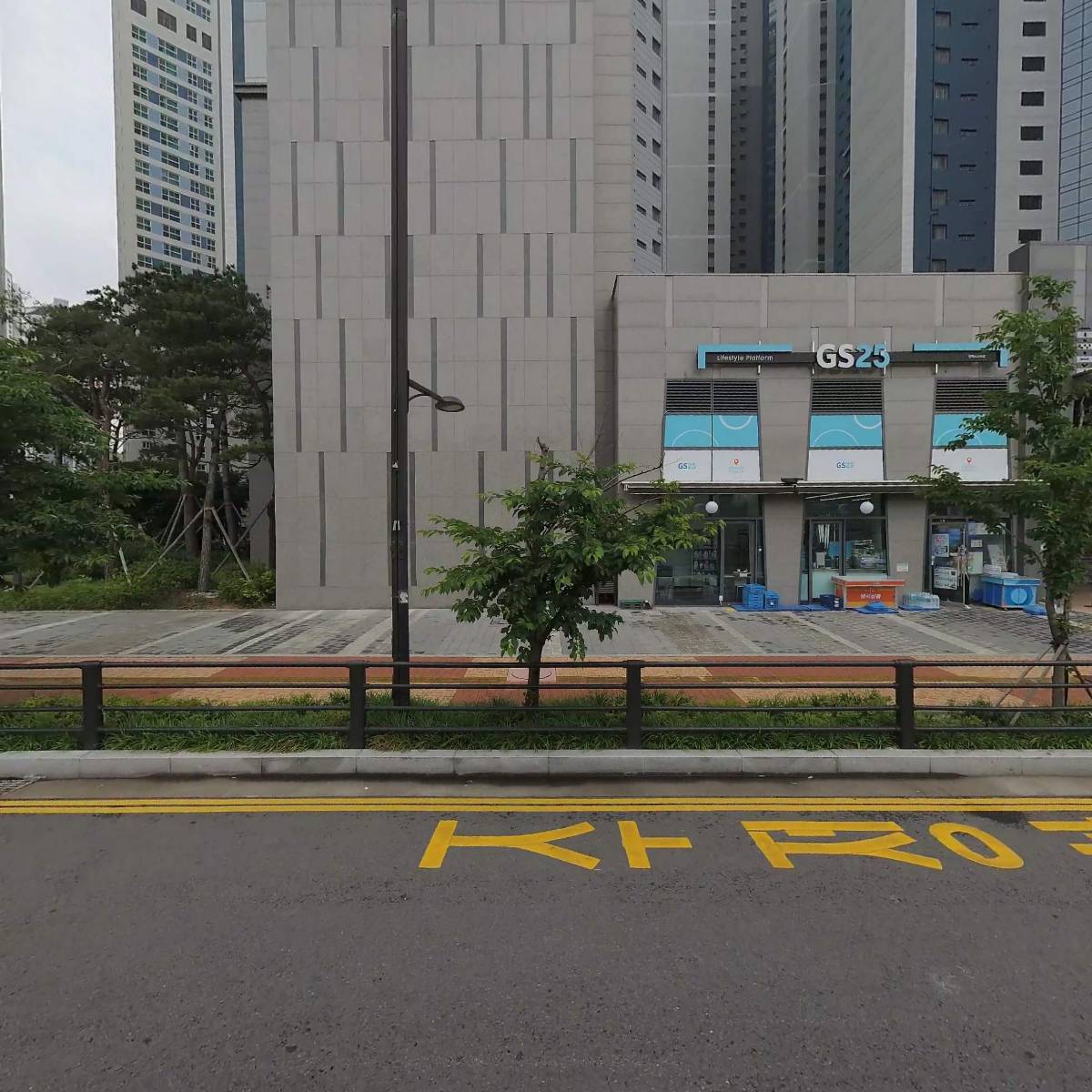 바디스튜디오 펠리체