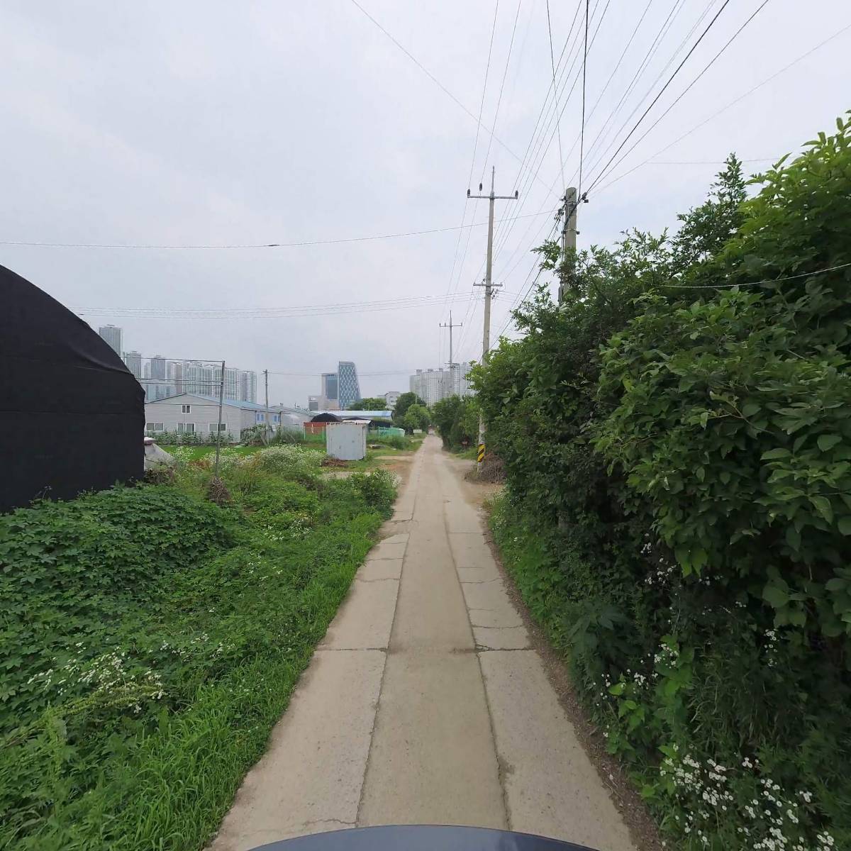 행복한버섯농장_2