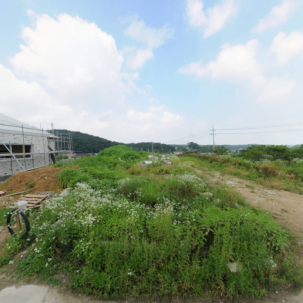 주식회사 드림홀딩스