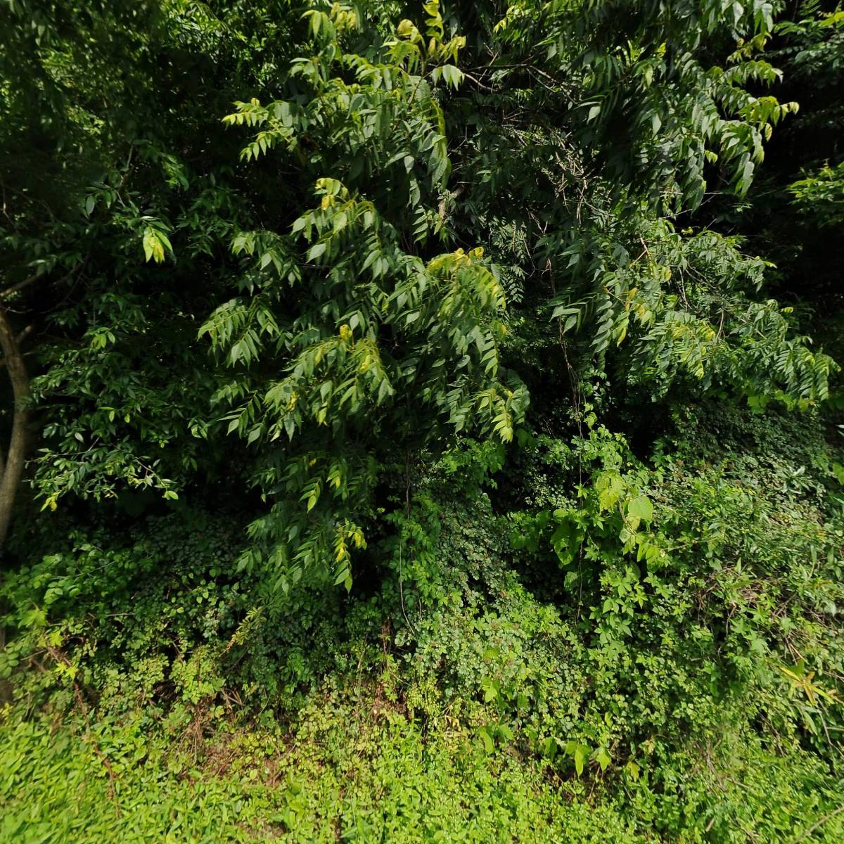 미원서각동호회_3