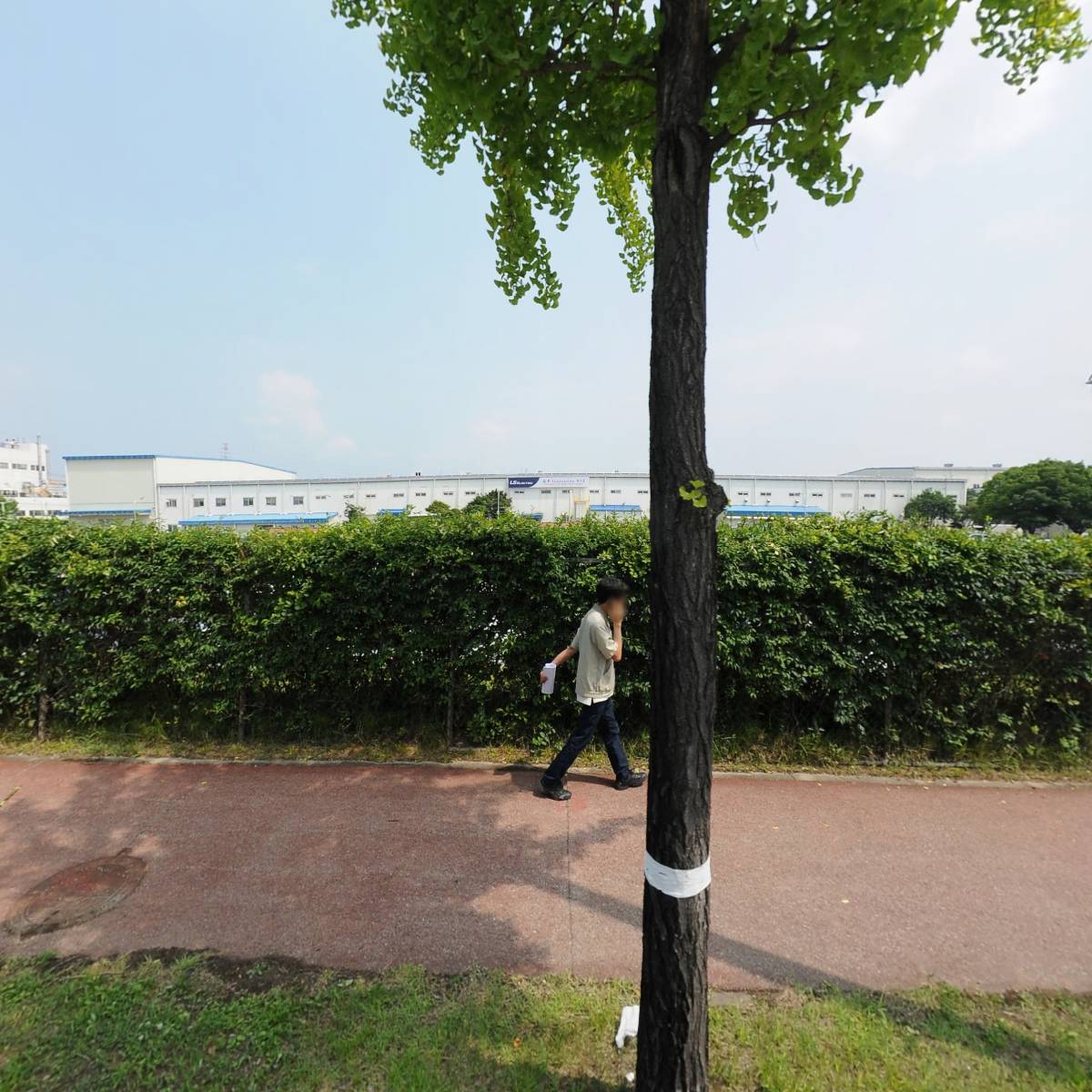 나승