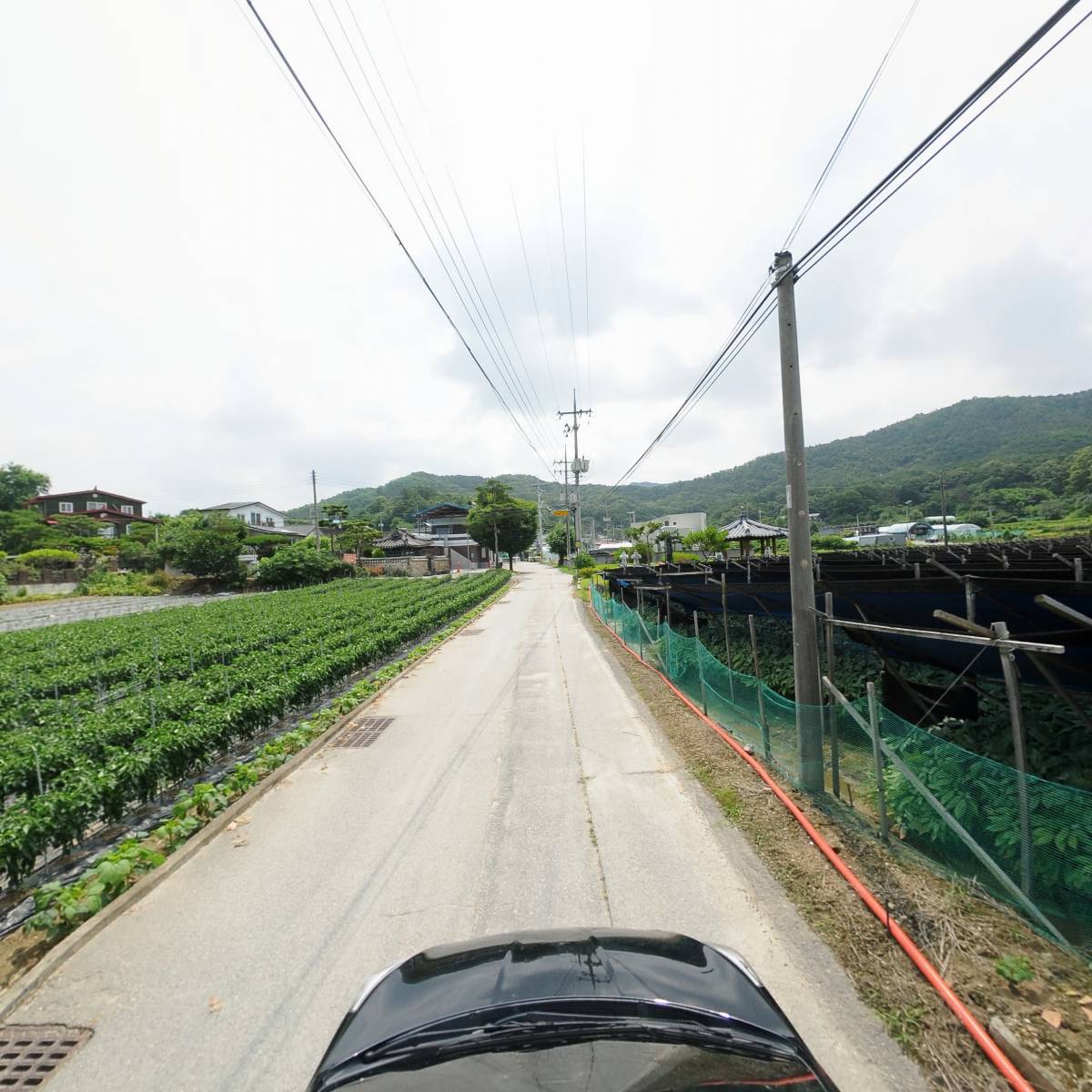 충청샷다ENG_4
