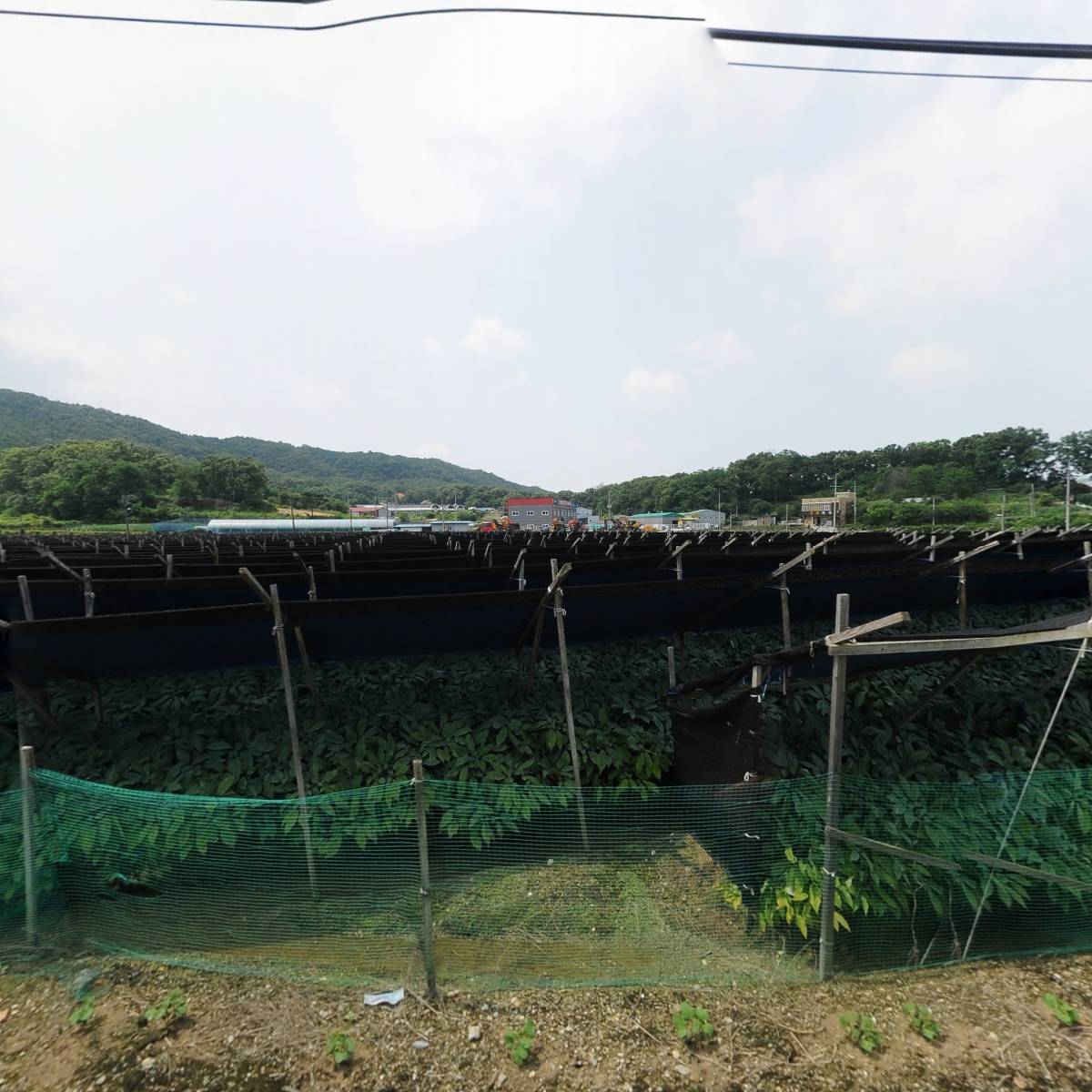 충청샷다ENG