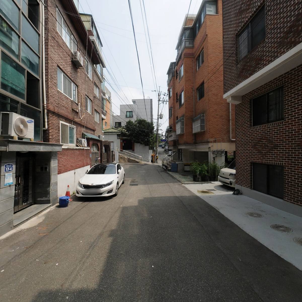 세렌디피디_2