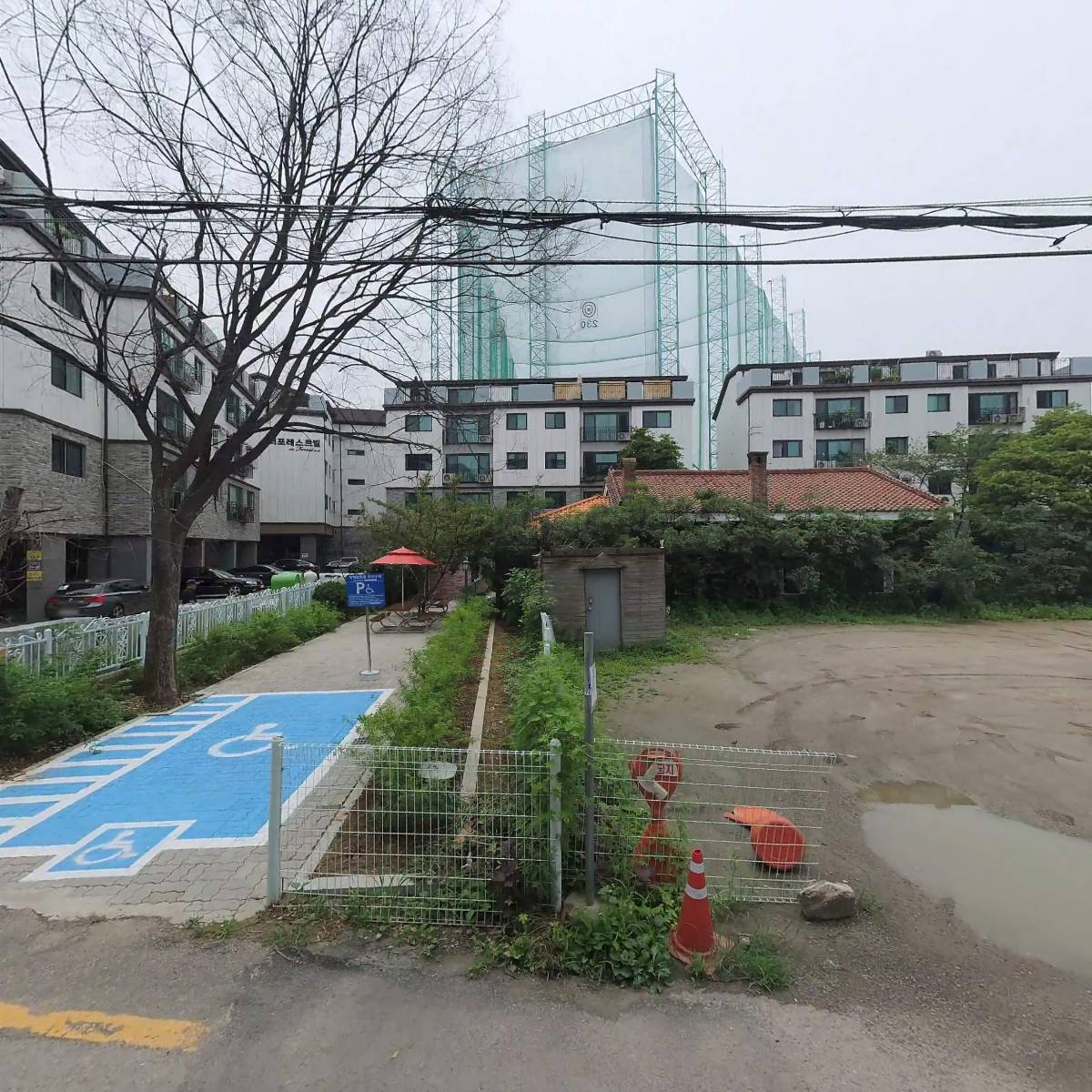 달시아카이브_3