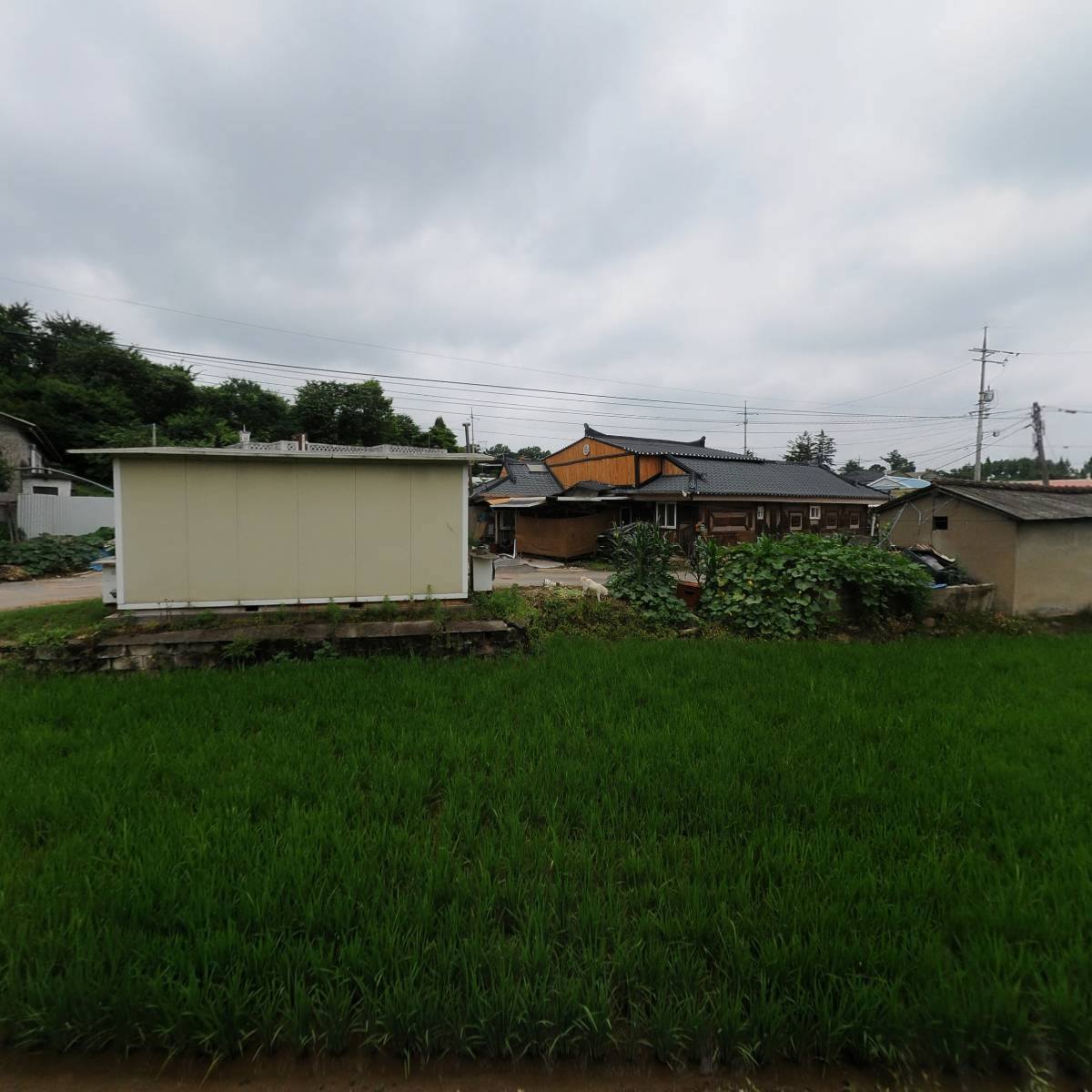 (주)서광전기