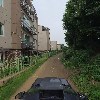 엘오에이_4