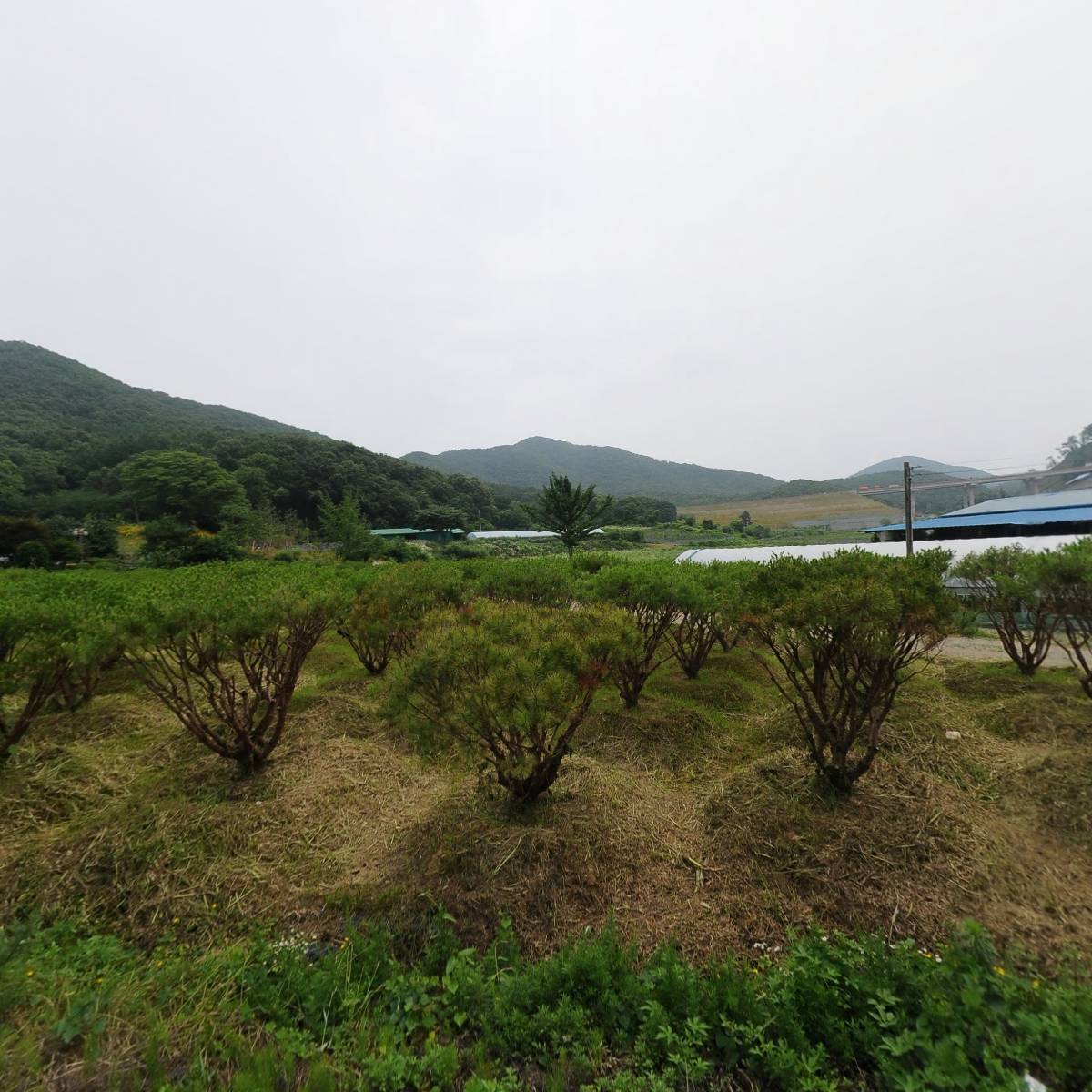 농업회사법인 일해