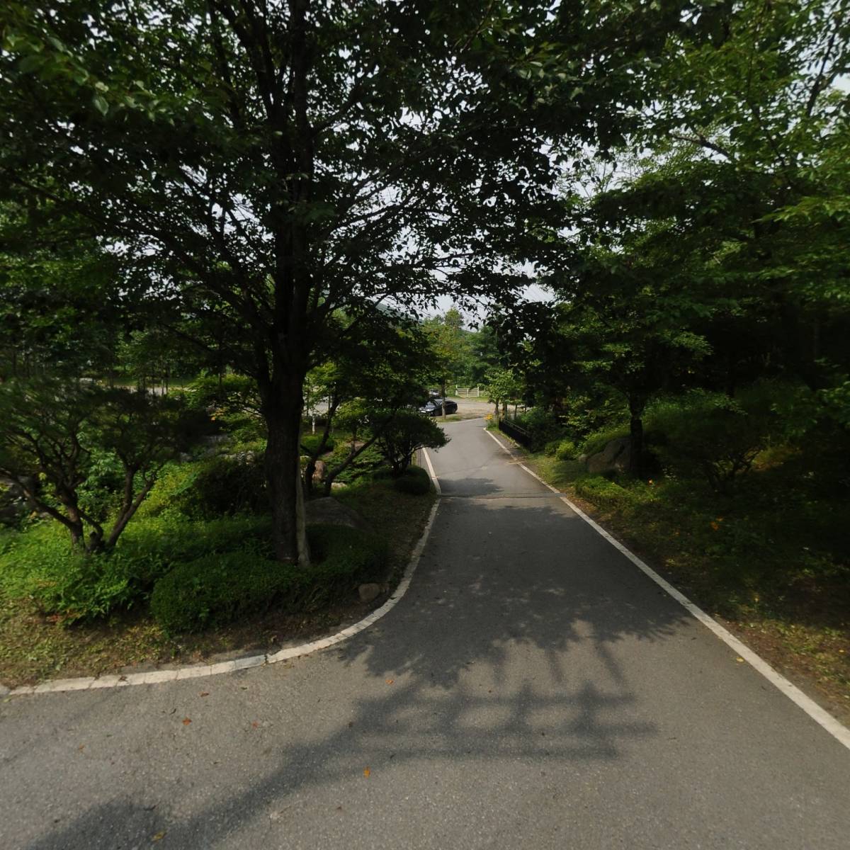 케이미래의원_2