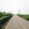 강화사랑마켓_2