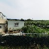 강화사랑마켓
