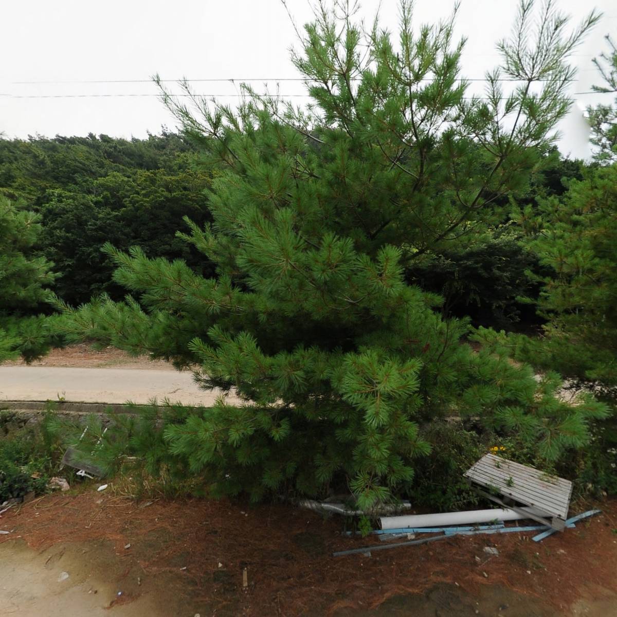 주식회사 무의도스킨스쿠버